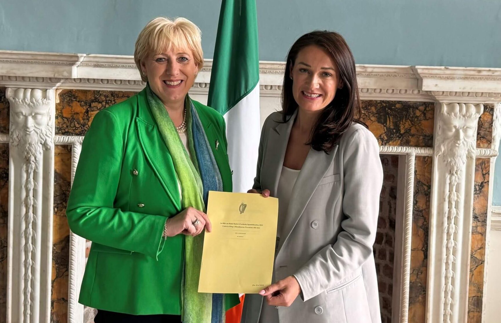 Minister Heather Humphries with Senator Erin McGreehan in Seanad Eireann