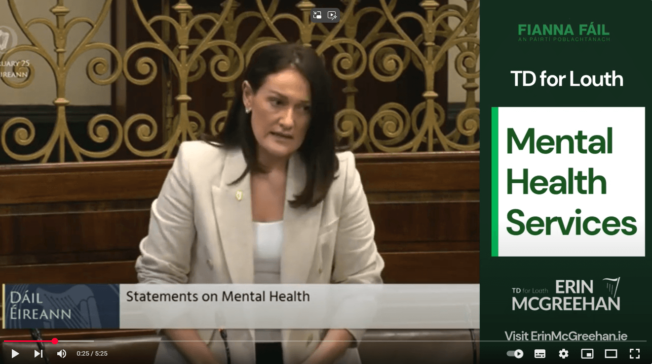 Mental Health Services Louth